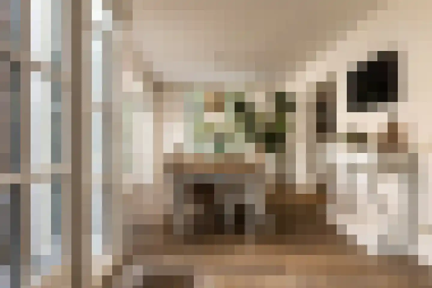 Buitenvoort 4 Helmond thumbnail 20