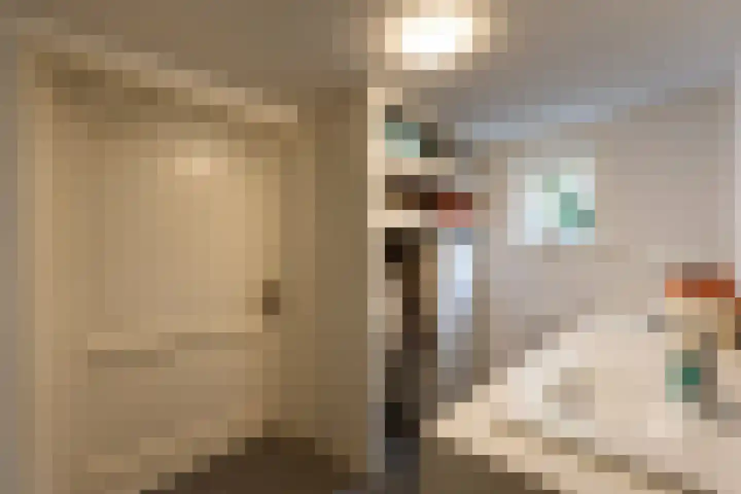 Buitenvoort 4 Helmond thumbnail 34