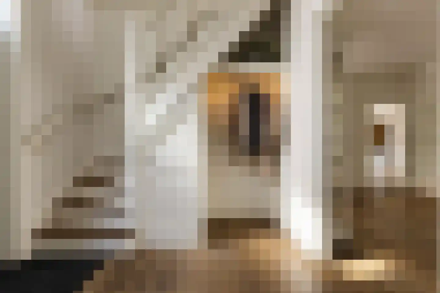 Buitenvoort 4 Helmond thumbnail 38
