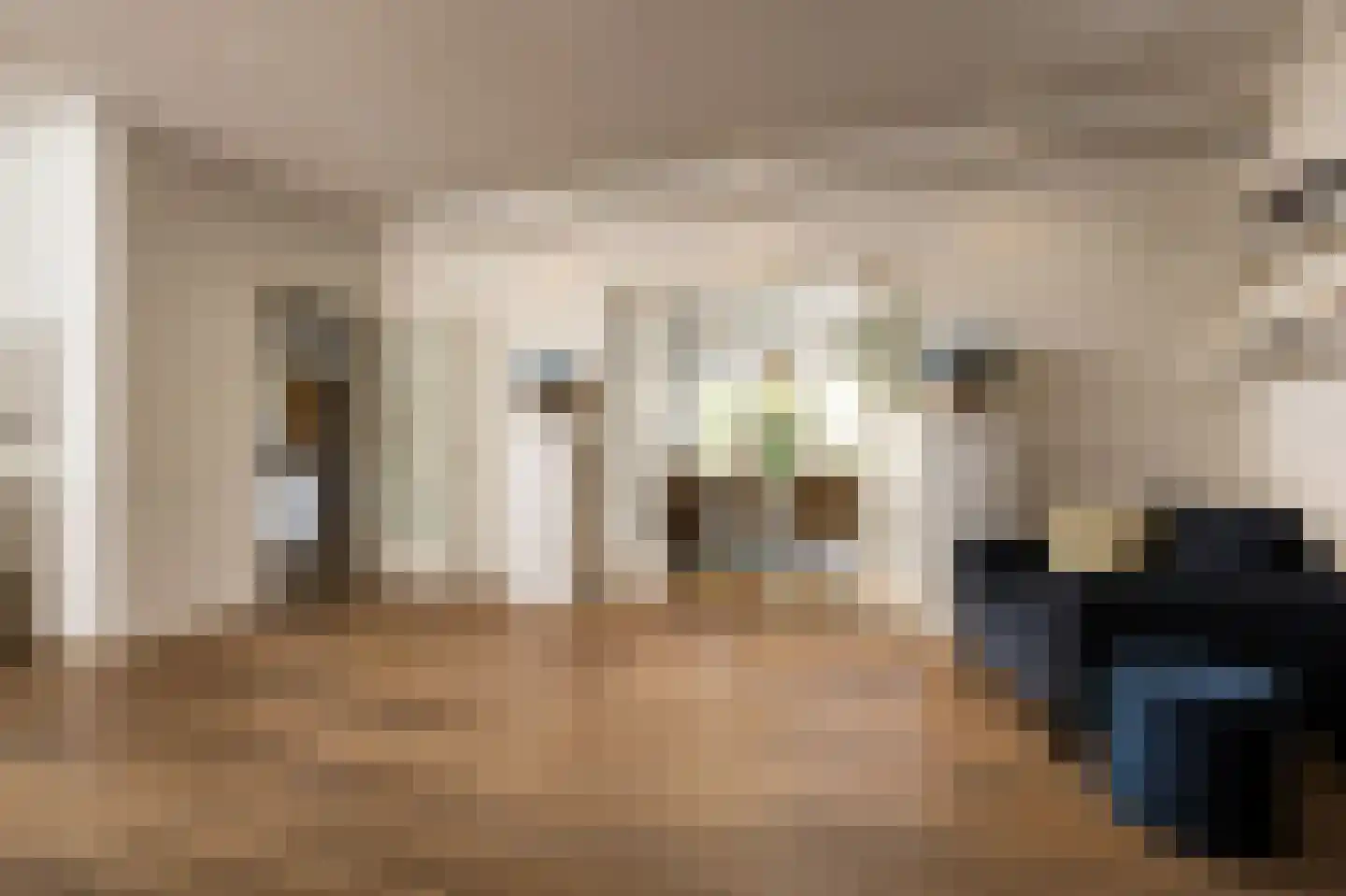 Buitenvoort 4 Helmond thumbnail 8