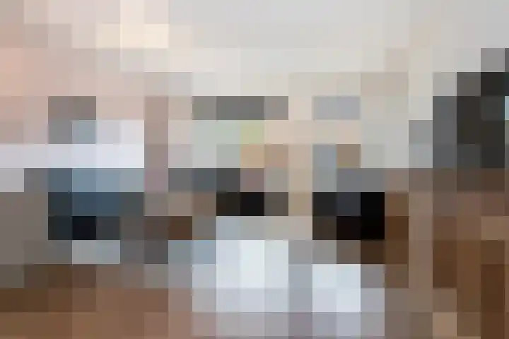 Buitenwaard 10 Wijk en Aalburg thumbnail 10