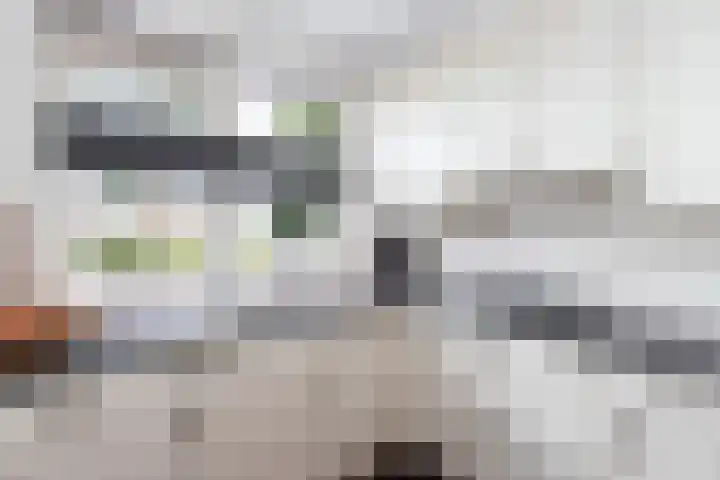 Buitenwaard 10 Wijk en Aalburg thumbnail 15