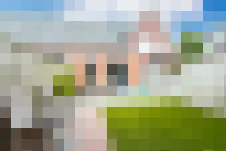 Buitenwaard 10 Wijk en Aalburg thumbnail 36