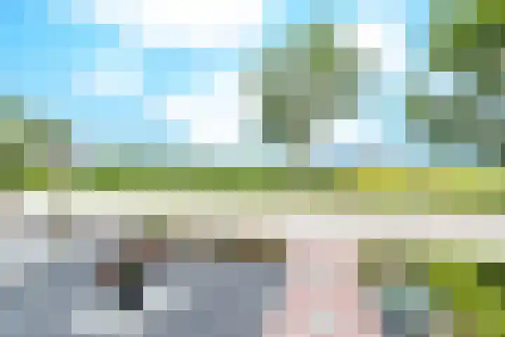 Buitenwaard 10 Wijk en Aalburg thumbnail 41