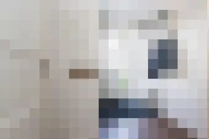 Buitenwaard 10 Wijk en Aalburg thumbnail 7