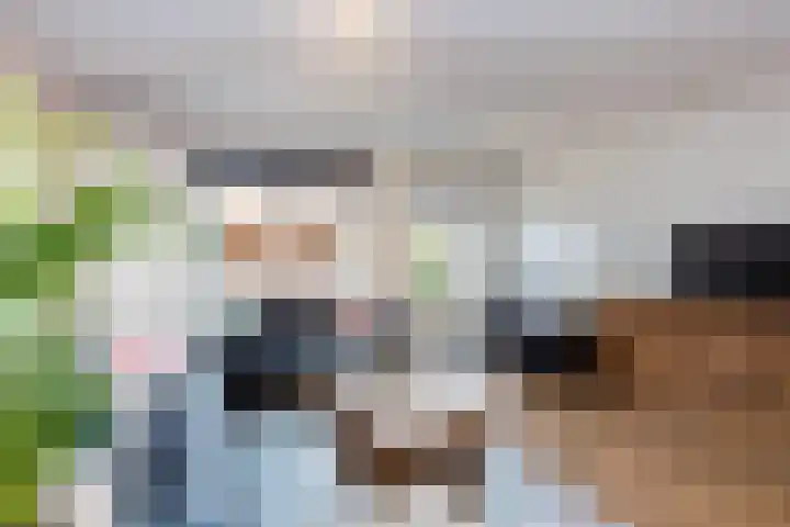 Buitenwaard 10 Wijk en Aalburg thumbnail 9