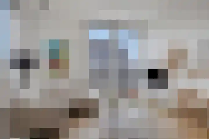 Buitenwaarden 36 Grafhorst thumbnail 15