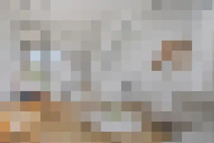 Buitenwaarden 36 Grafhorst thumbnail 16