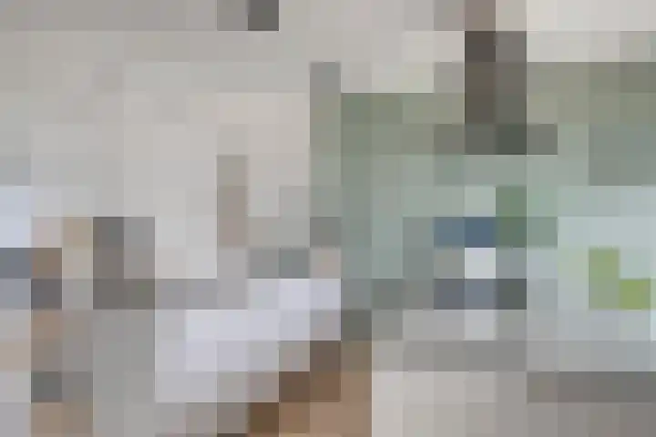 Buitenwaarden 36 Grafhorst thumbnail 17