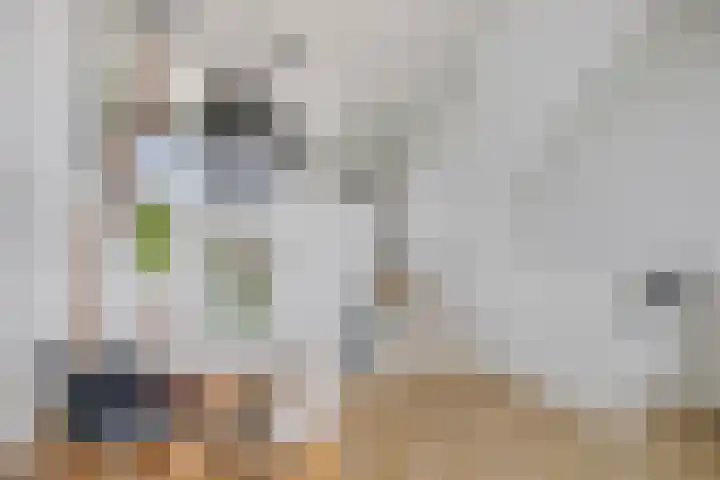 Buitenwaarden 36 Grafhorst thumbnail 21