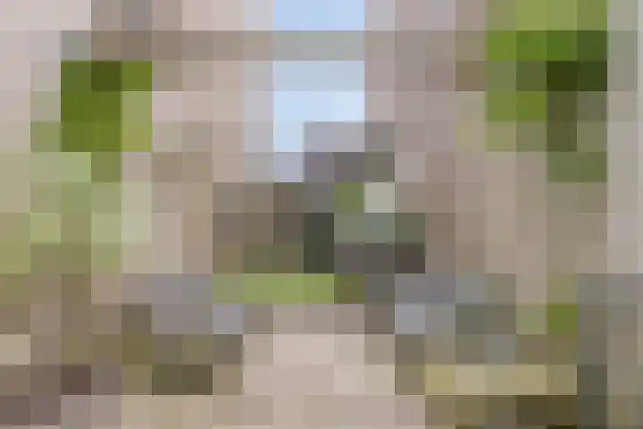 Buitenwaarden 36 Grafhorst thumbnail 31