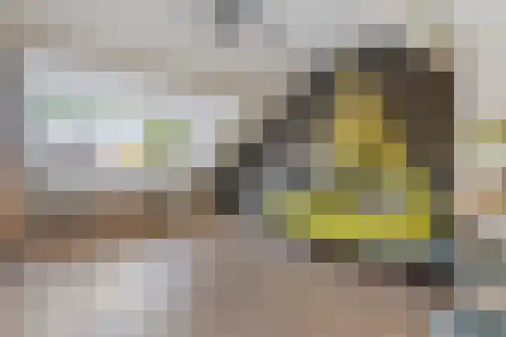 Buitenwal 2 Prinsenbeek thumbnail 20