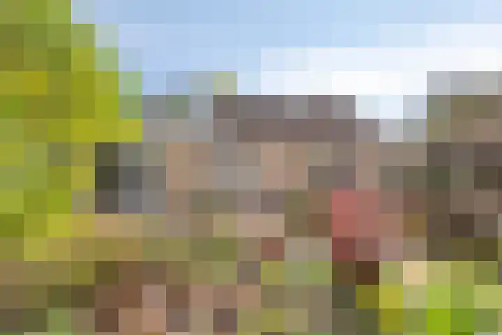 Buitenwal 2 Prinsenbeek thumbnail 23
