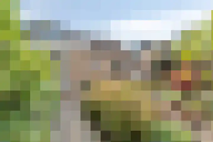 Buitenwal 2 Prinsenbeek thumbnail 26