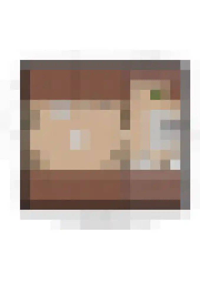Buitenwal 2 Prinsenbeek thumbnail 34