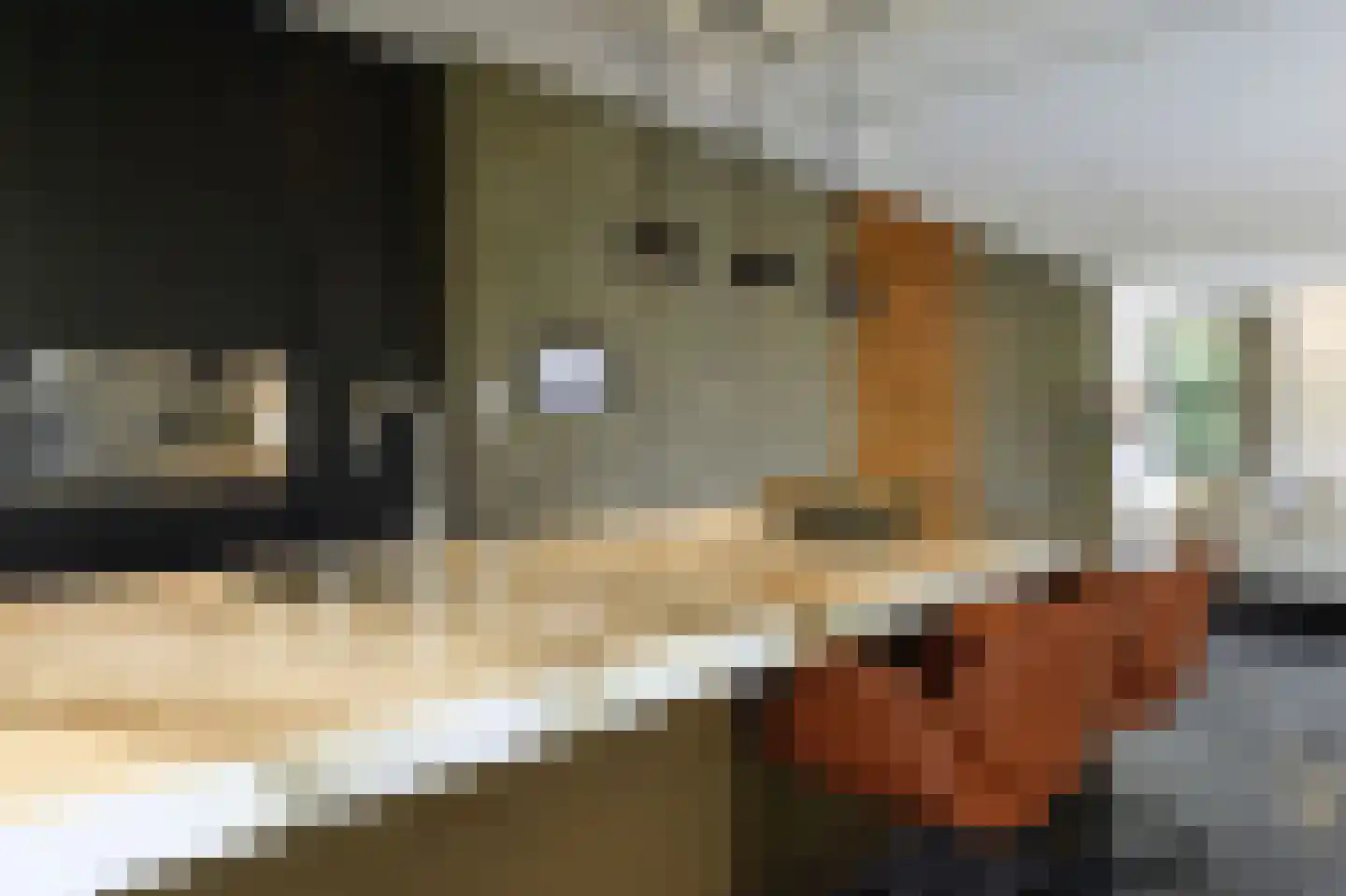 Buitenwater 2 Warmond thumbnail 20