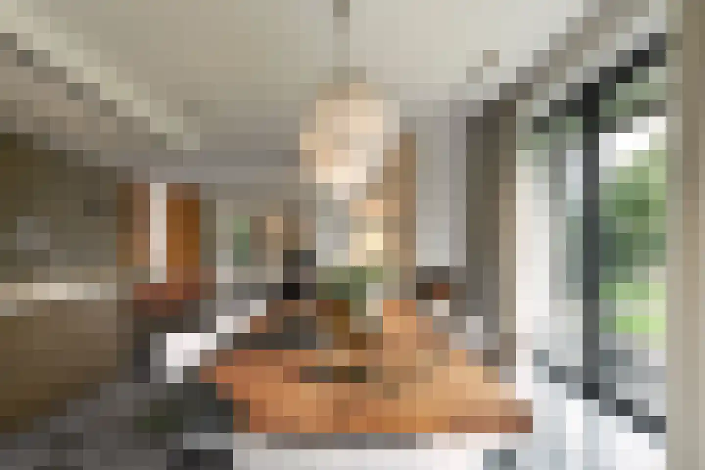 Buitenwater 2 Warmond thumbnail 23