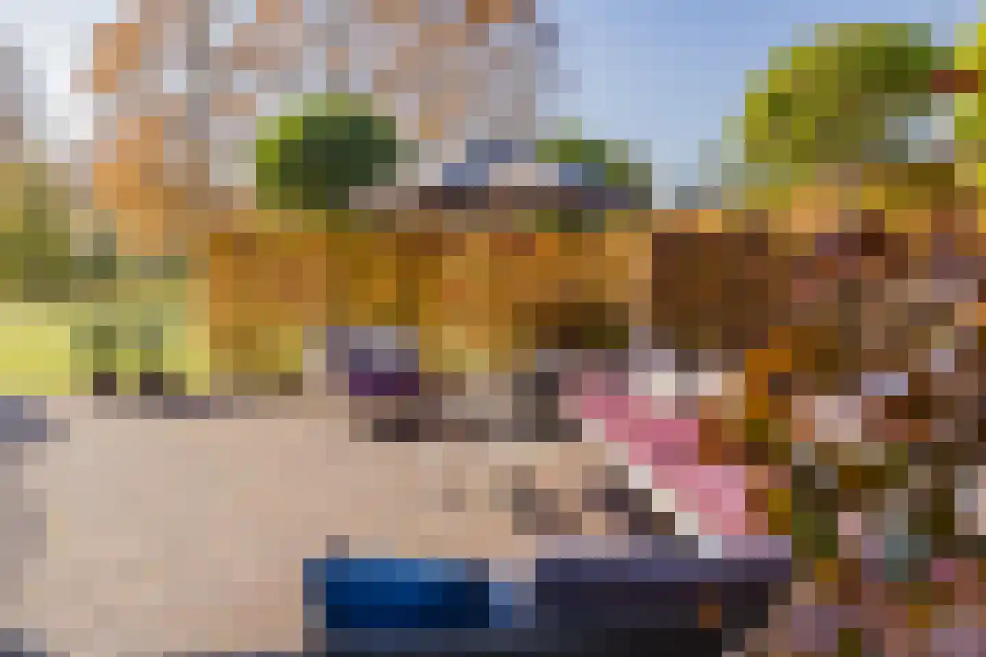 Buitenwater 2 Warmond thumbnail 26
