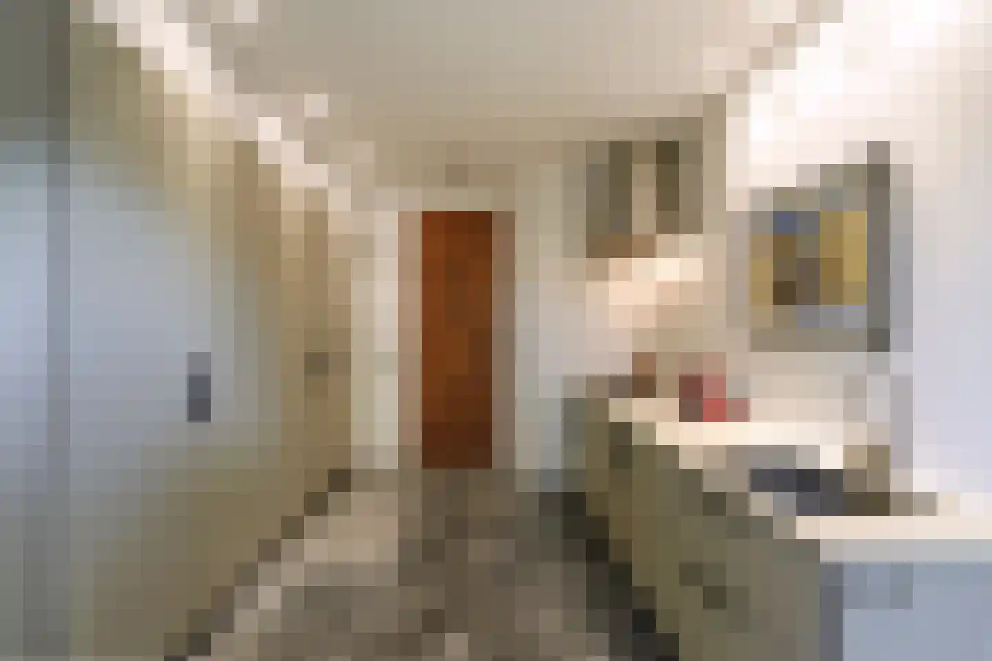 Buitenwater 2 Warmond thumbnail 28
