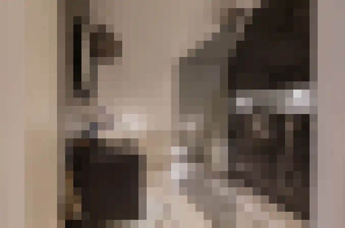 Buitenwater 2 Warmond thumbnail 40