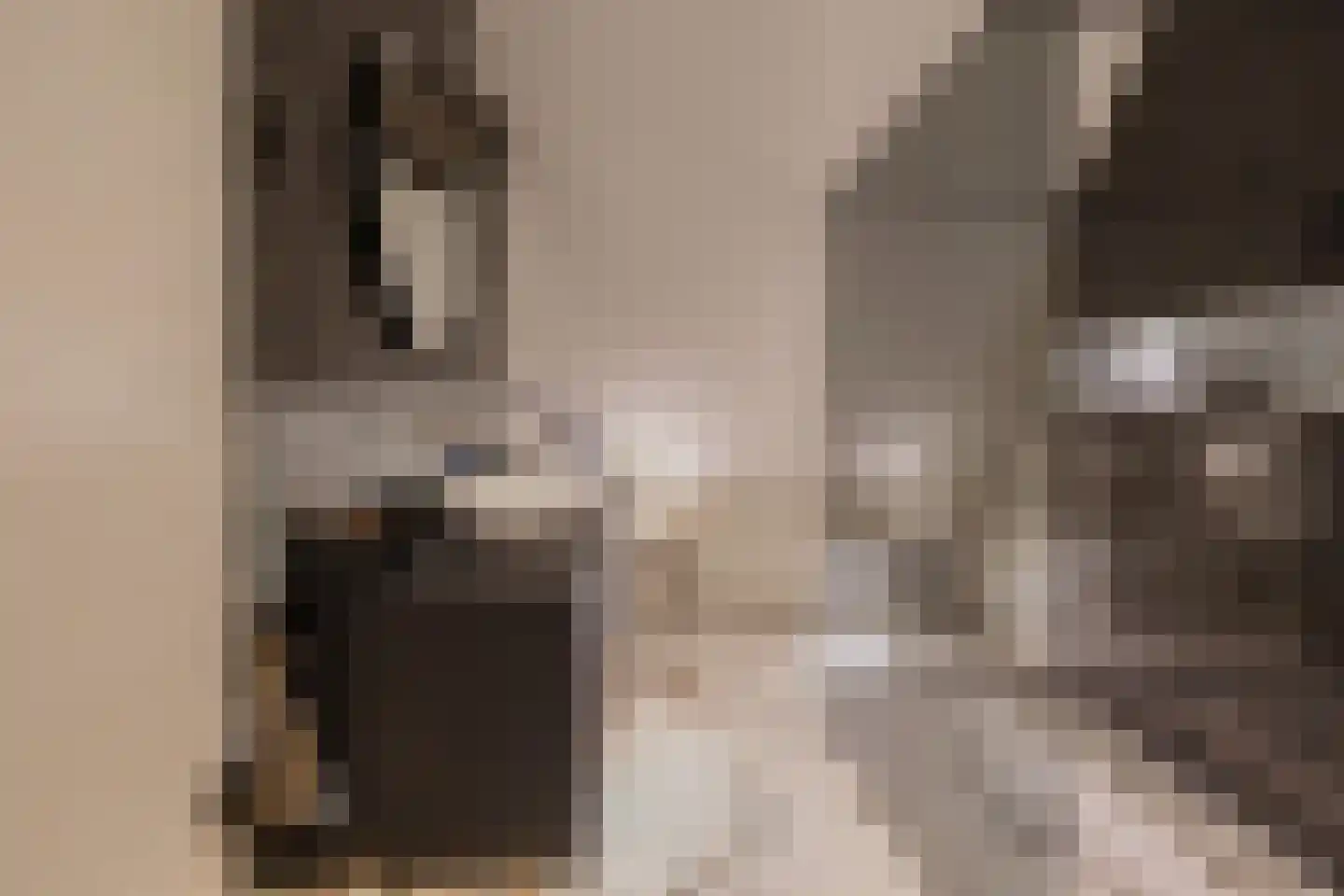 Buitenwater 2 Warmond thumbnail 41