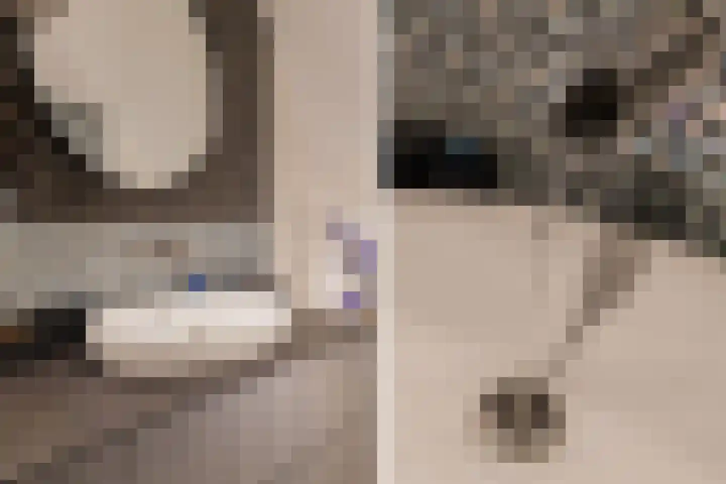 Buitenwater 2 Warmond thumbnail 43