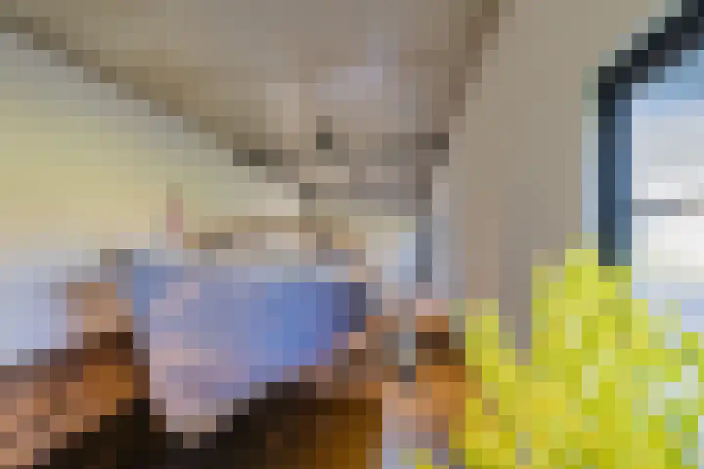 Buitenwater 2 Warmond thumbnail 67