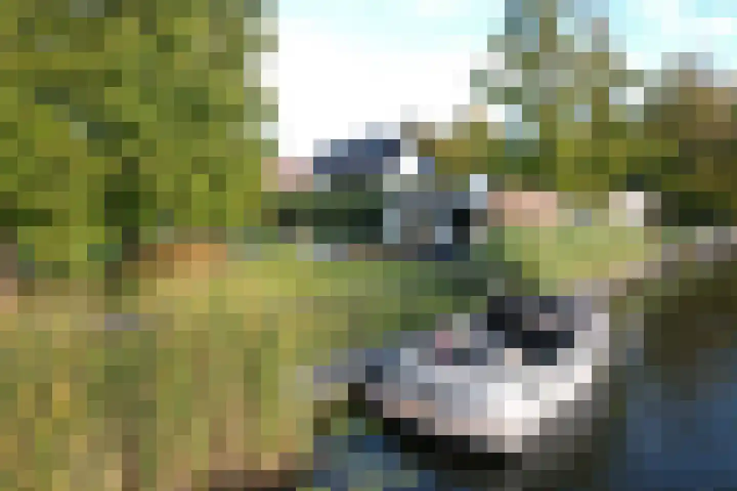 Buitenwater 2 Warmond thumbnail 69