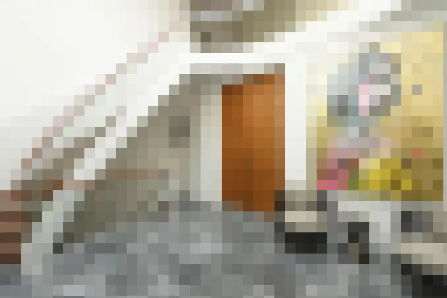 Buitenwater 2 Warmond thumbnail 8