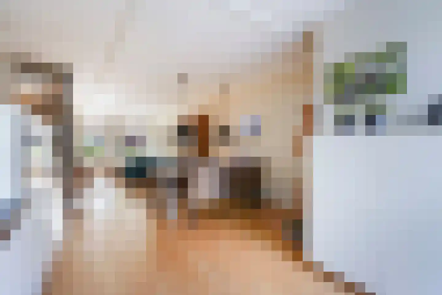 Buitenwatersloot 122 Delft thumbnail 12