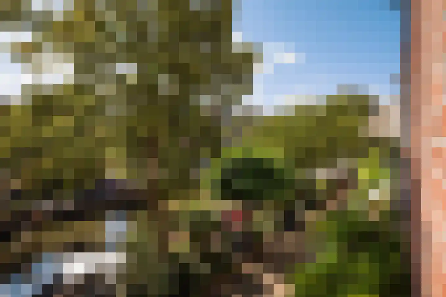 Buitenwatersloot 122 Delft thumbnail 45