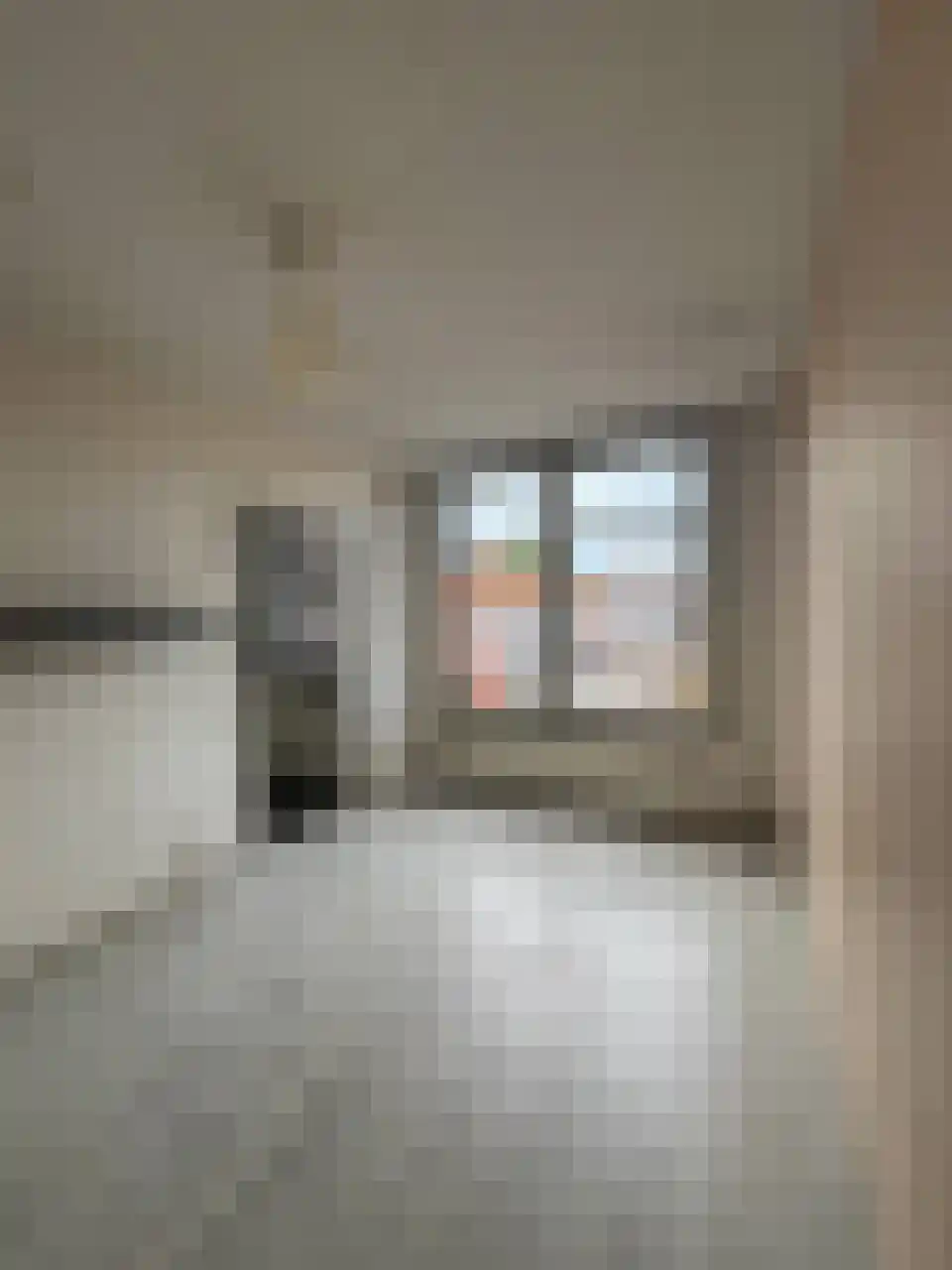 Buitenwatersloot 154 Delft thumbnail 10