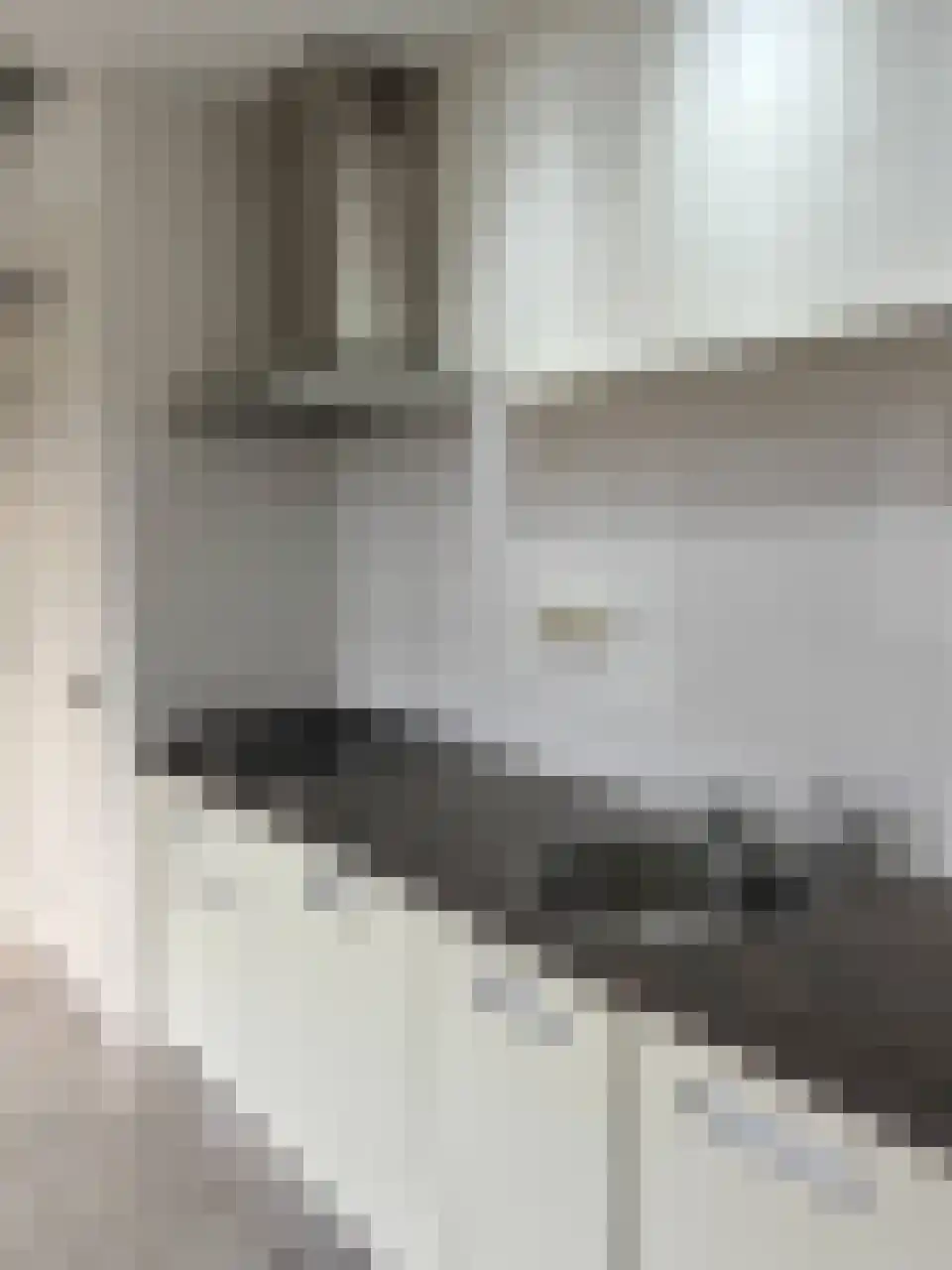 Buitenwatersloot 154 Delft thumbnail 9