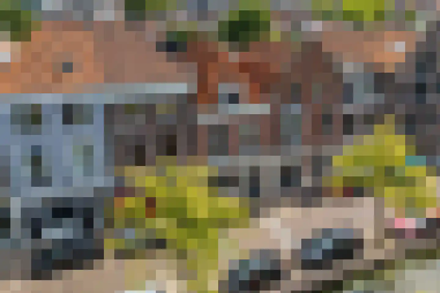 Buitenwatersloot 17 Delft thumbnail 7