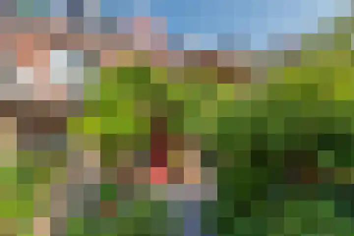 Buitenwatersloot 209 Delft thumbnail 19