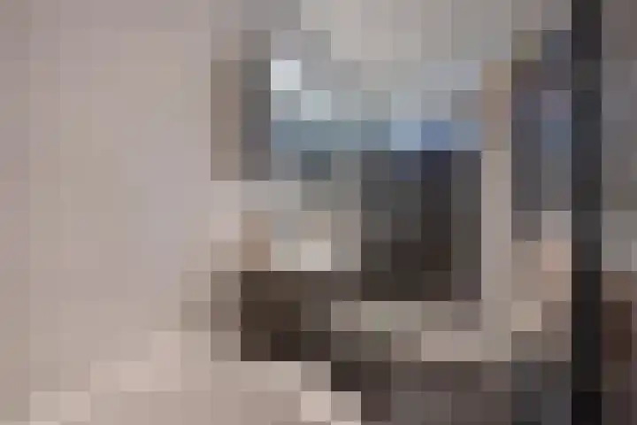 Buitenwatersloot 209 Delft thumbnail 31
