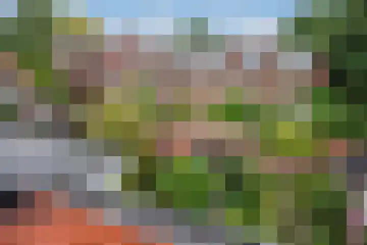 Buitenwatersloot 209 Delft thumbnail 38
