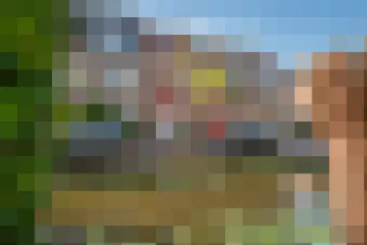 Buitenwatersloot 209 Delft thumbnail 44