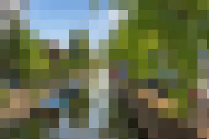 Buitenwatersloot 209 Delft thumbnail 45