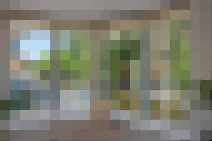 Buitenwatersloot 241 Delft thumbnail 11