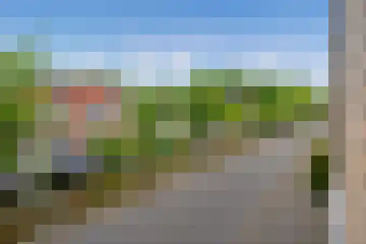 Buitenwatersloot 241 Delft thumbnail 12