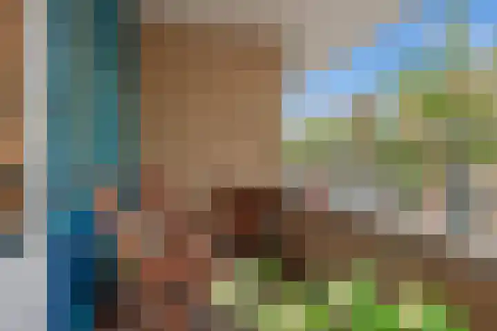 Buitenwatersloot 241 Delft thumbnail 16