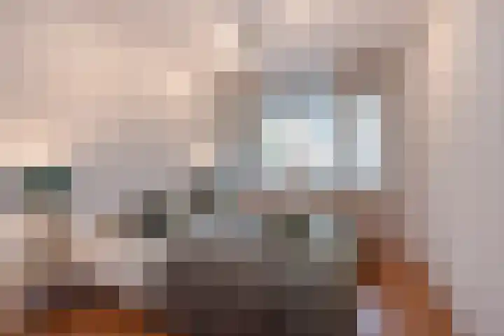 Buitenwatersloot 241 Delft thumbnail 18