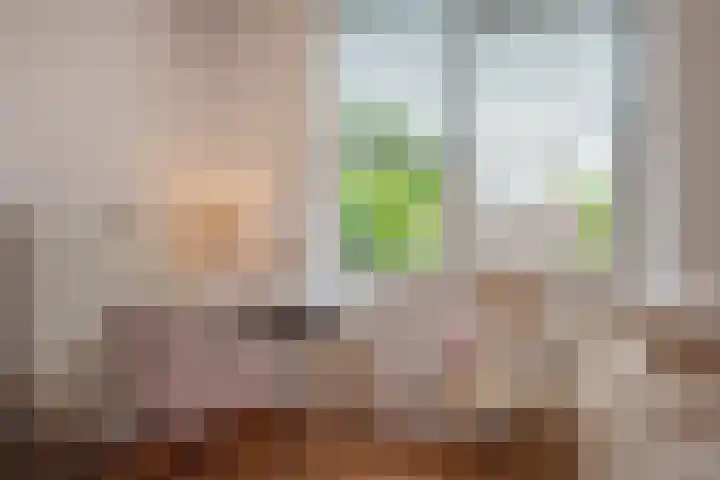 Buitenwatersloot 241 Delft thumbnail 25