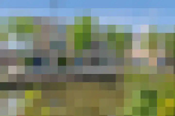 Buitenwatersloot 241 Delft thumbnail 27