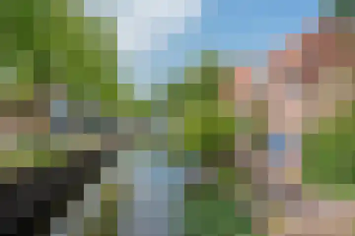 Buitenwatersloot 241 Delft thumbnail 28