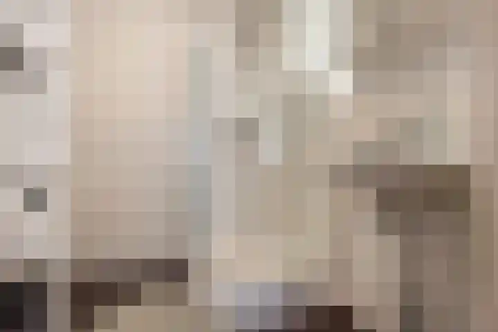 Buitenwatersloot 241 Delft thumbnail 4