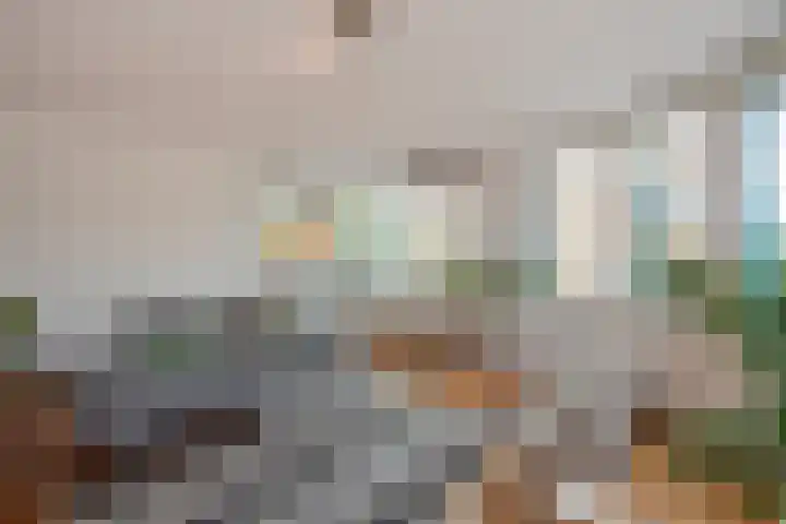 Buitenwatersloot 241 Delft thumbnail 7