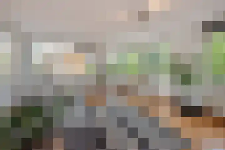Buitenwatersloot 241 Delft thumbnail 8