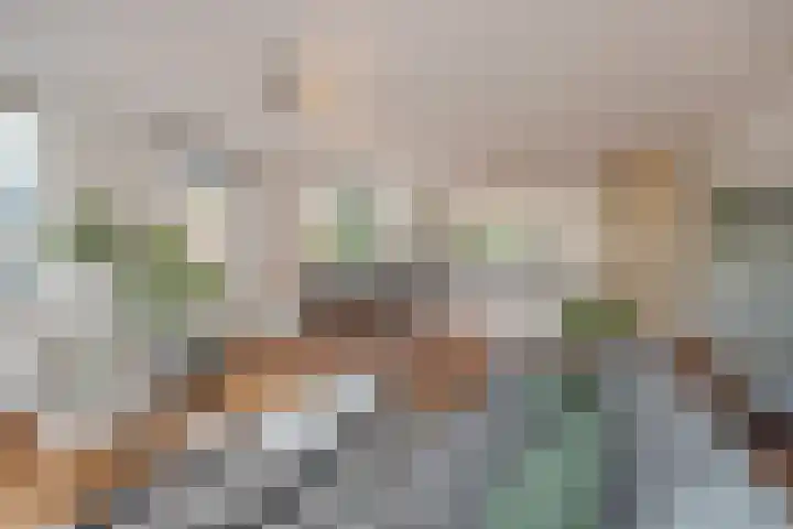Buitenwatersloot 241 Delft thumbnail 9